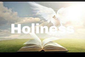Biblical Principles for Growing in Holiness