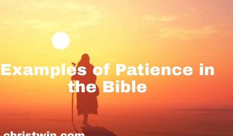5 stories of patience in the bible