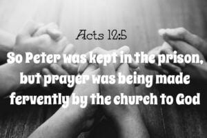 So Peter was kept in prison, but the church was earnestly praying to God for him.
