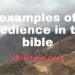 Examples of obedience