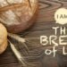 I am the bread of life
