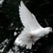 4 Ways to Avoid the Sin Against the Holy Spirit