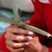 Palm Sunday Prayer