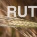 5 Important Lessons You Should Know from the Book of Ruth