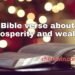 bible verse about prosperity and wealth